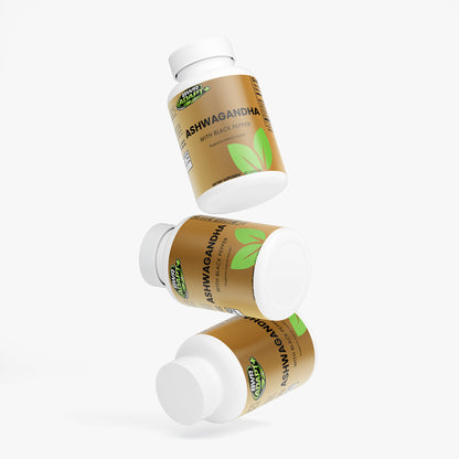 Daily Support for Stress, Focus & Recovery