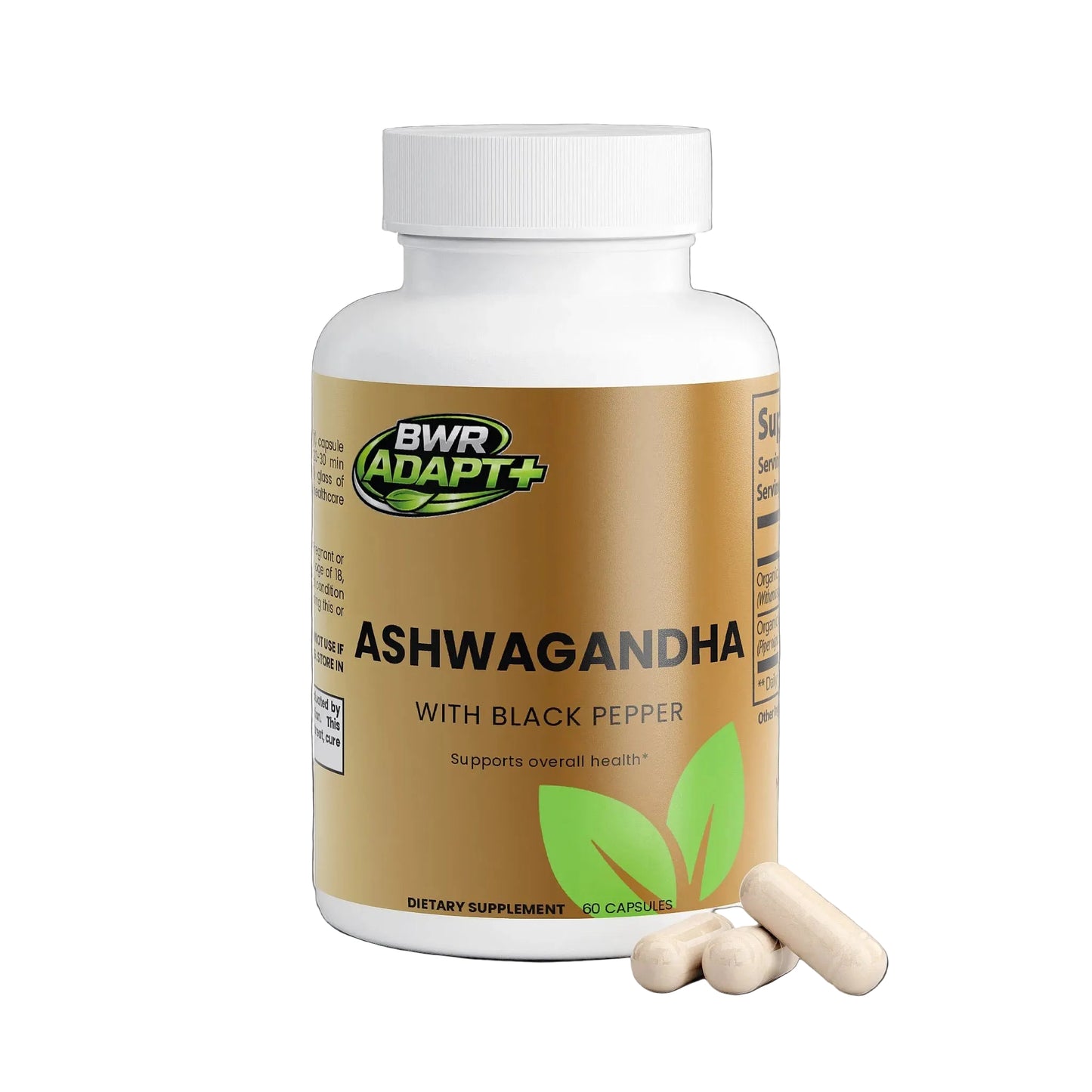 Daily Support for Stress, Focus & Recovery