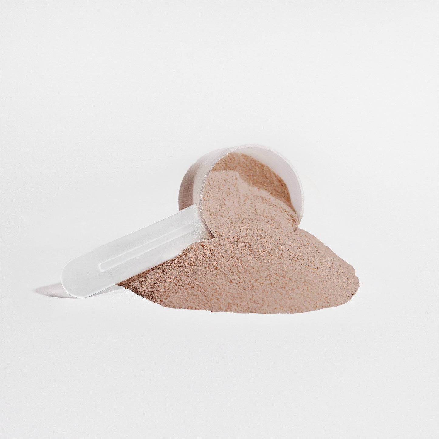 BWR Muscle Harvest – Plant Protein (Chocolate)