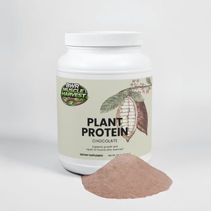BWR Muscle Harvest – Plant Protein (Chocolate)