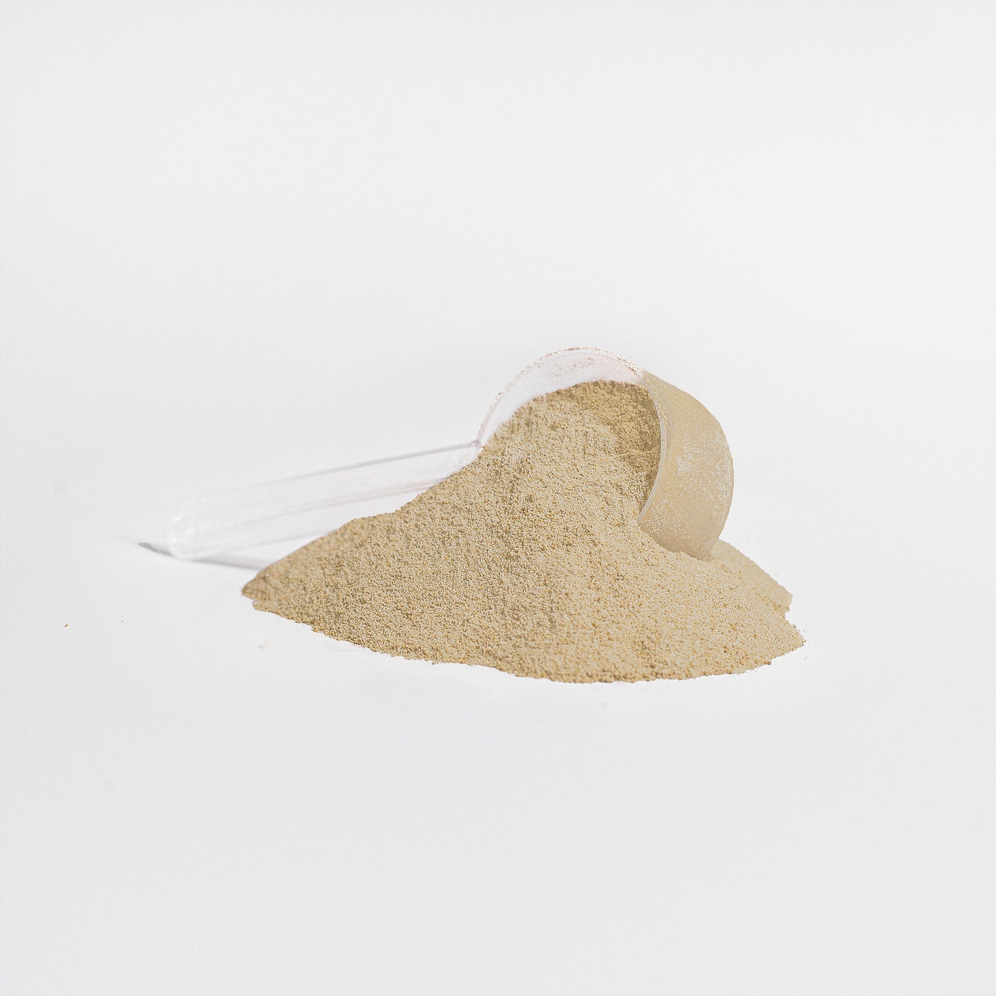 BWR IsoForge – 100% Whey Protein Isolate (Vanilla)