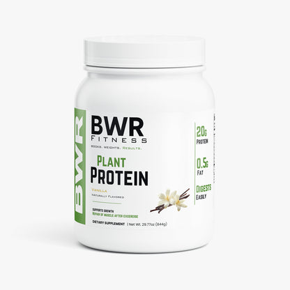 Plant Protein (Vanilla)