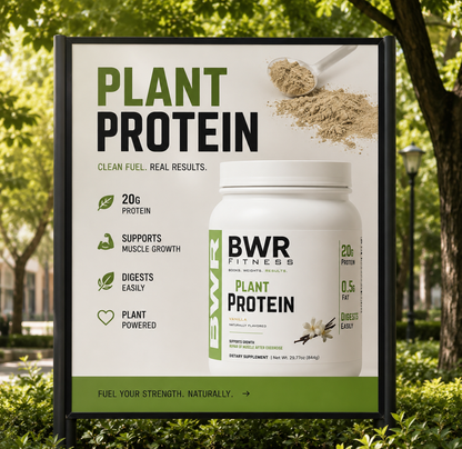 Plant Protein (Vanilla)
